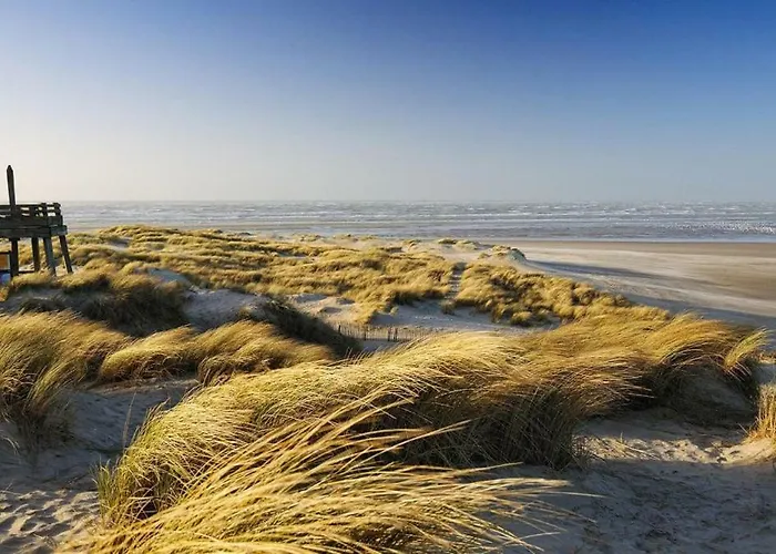 Superbe Contemporain * Le Touquet-Paris-Plage